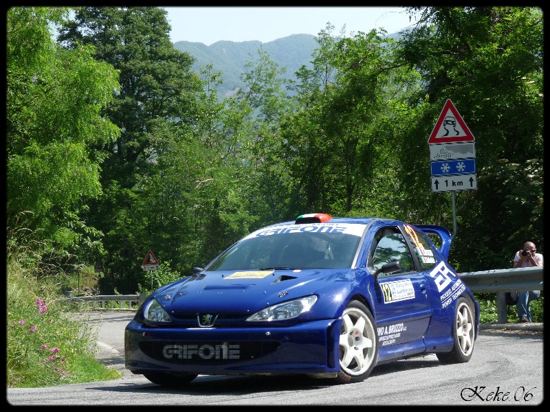 Bruzzo - Peugeot 206 WRC
