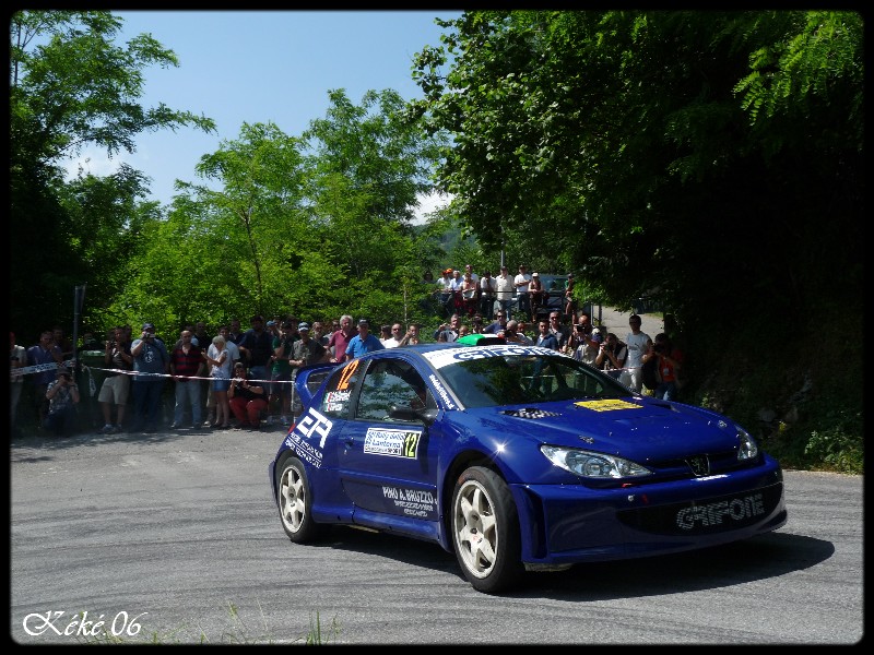 Peugeot 206 Wrc de Bruzzo