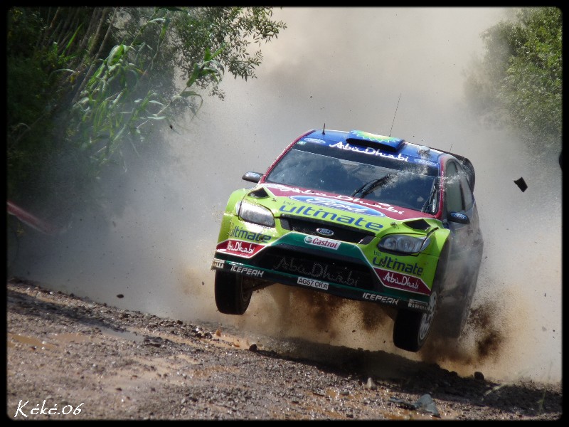 Al Qassimi / Focus WRC