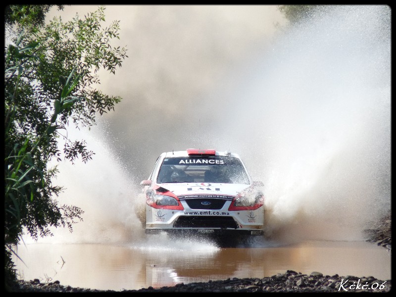 Carbonaro - Focus WRC