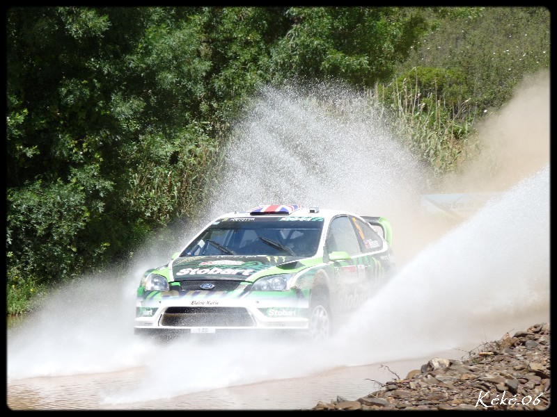 Wilson - Ford Focus WRC