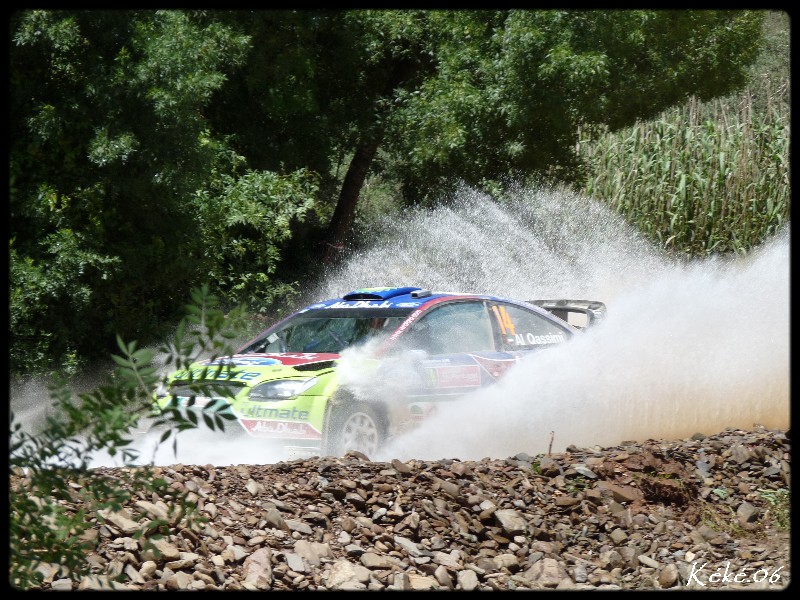 Al Qassimi - Ford Focus WRC