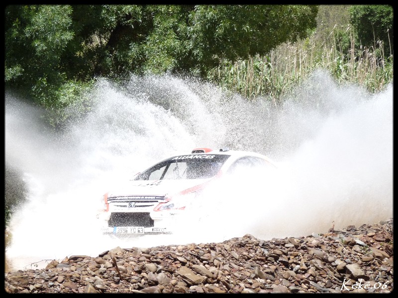 Cuoq - Peugeot 307 WRC