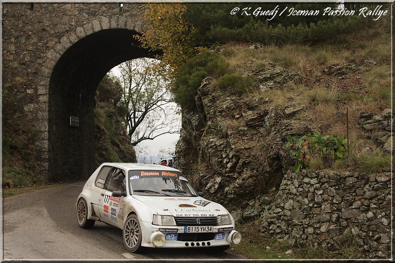 Peugeot 205 F2000