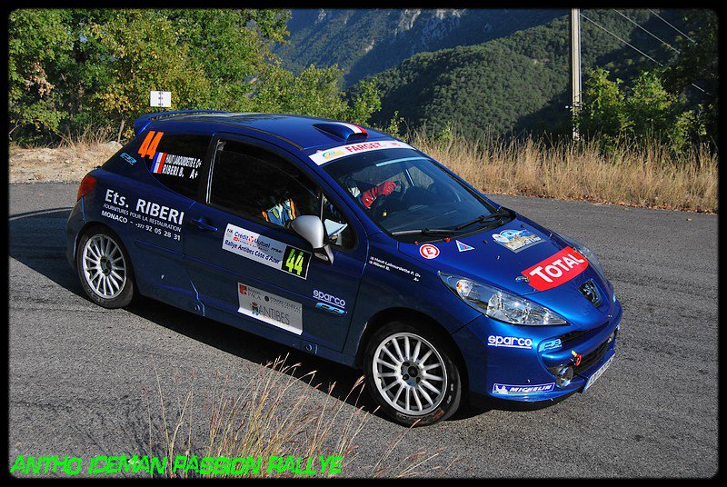 Peugeot 207 (2)