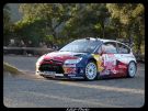 Loeb - Citroen C4 WRC - Col des Fourches 